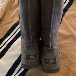 Gray Uggs Tall
